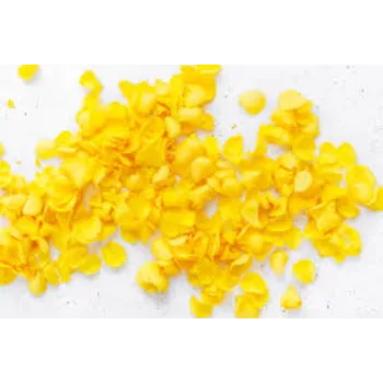 Yellow Rose Petal
